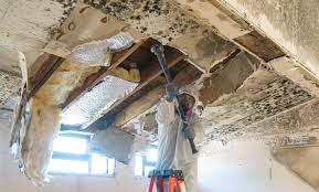 Best Real Estate Mold Inspection in Saticoy, CA